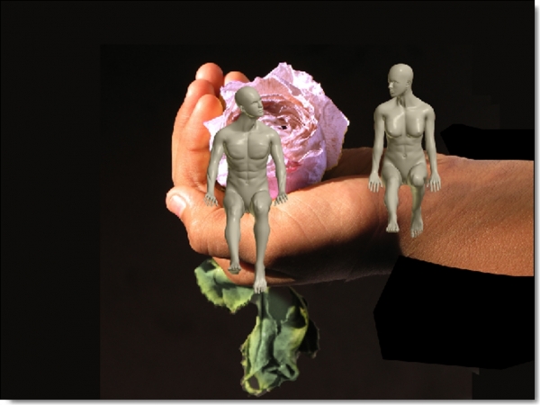 Creation of Romancing Rose: Step 7
